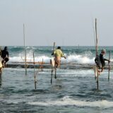 Stilts fishermen, Unawatuna, Sri Lanka