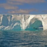 Antartica iceberg